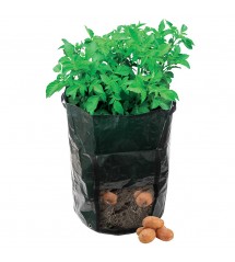 Silverline Aardappelplantzak